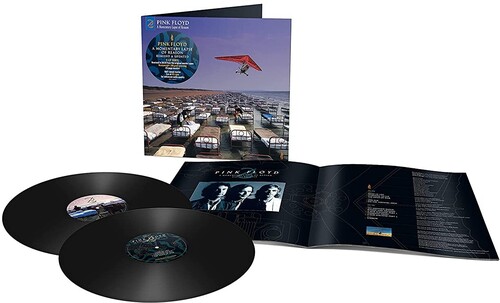 Momentary Lapse Of Reason - Remixed And Updated (Vinyl)
