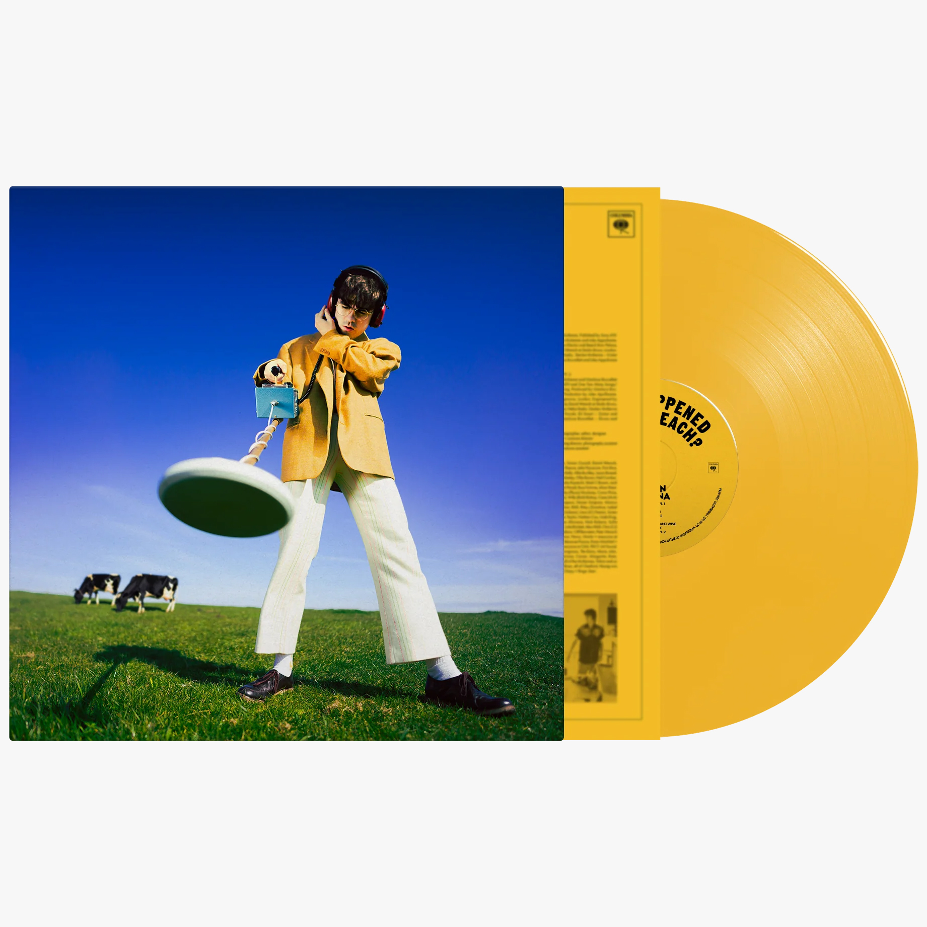 What Happened To The Beach (Yellow Edition) (Vinyl)