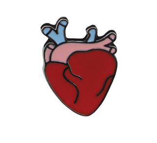 Anatomical Heart Badge Pin - Real Groovy