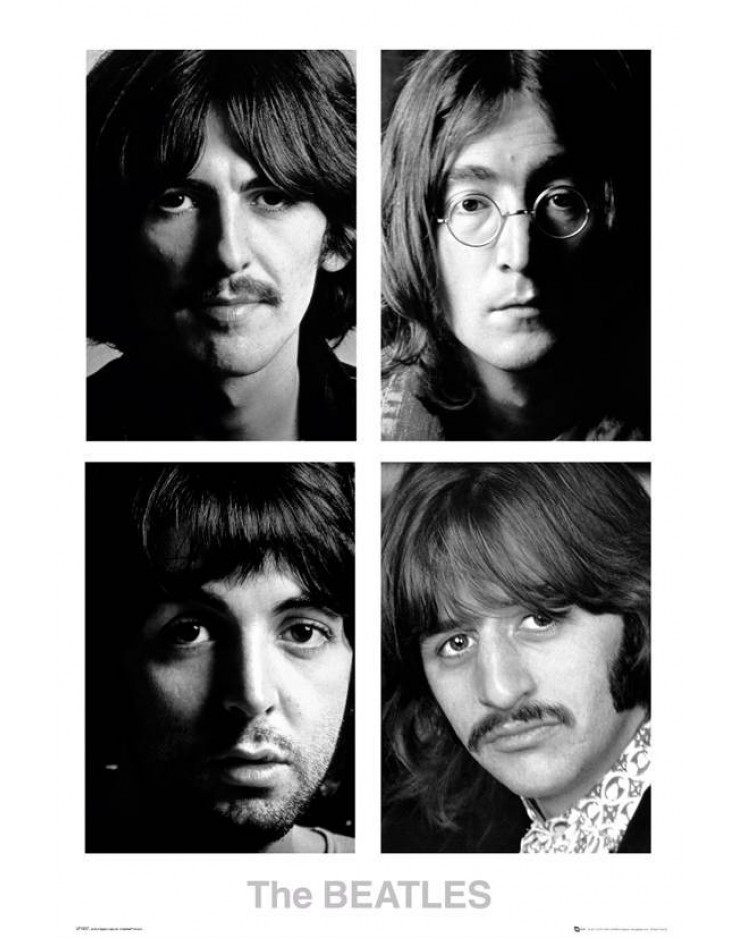 Beatles White Album Long Hair Poster 101 - Real Groovy