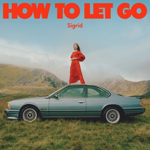 How To Let Go (Vinyl)