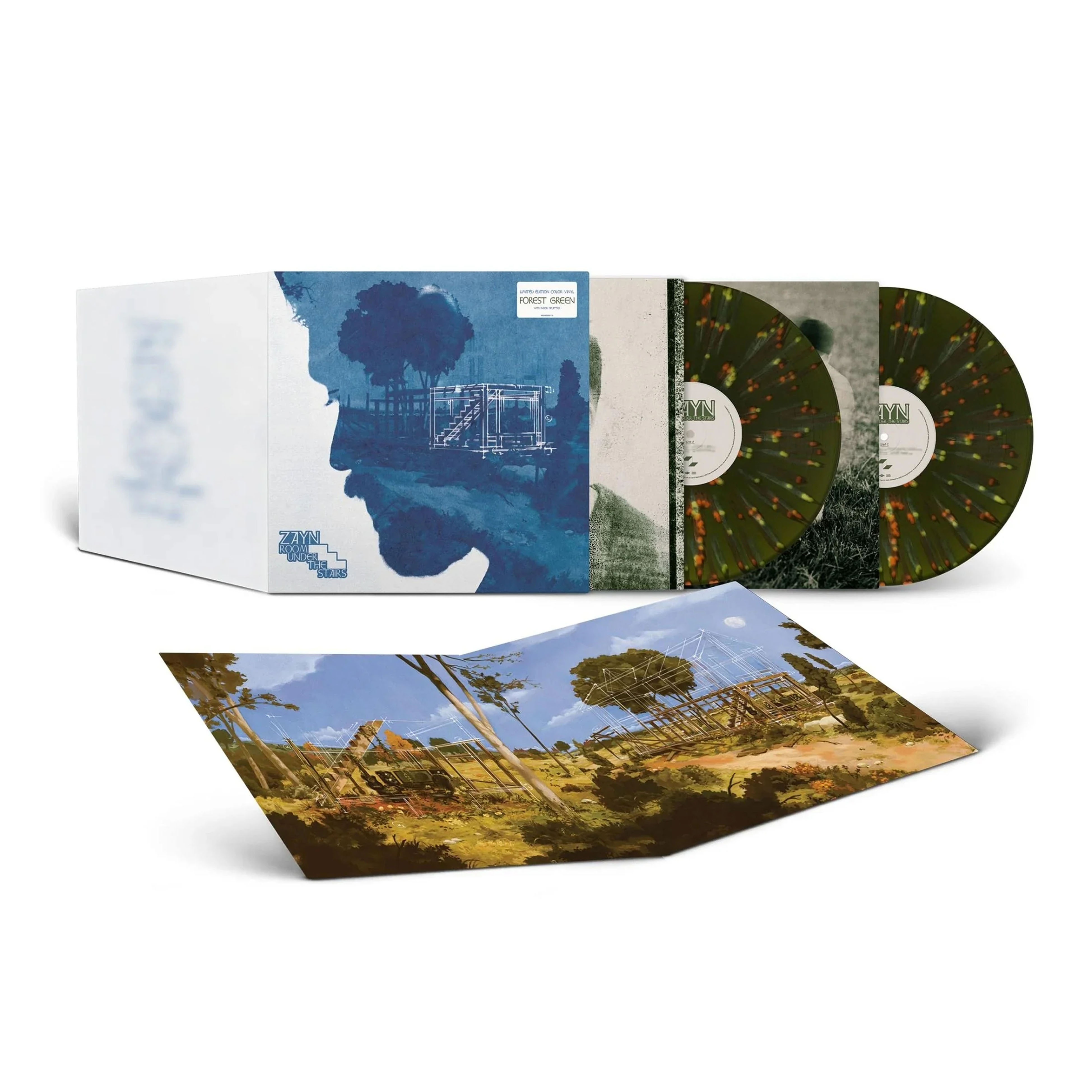 Room Under The Stairs (Forest Green Neon Splatter 2lp Edition) (Vinyl)