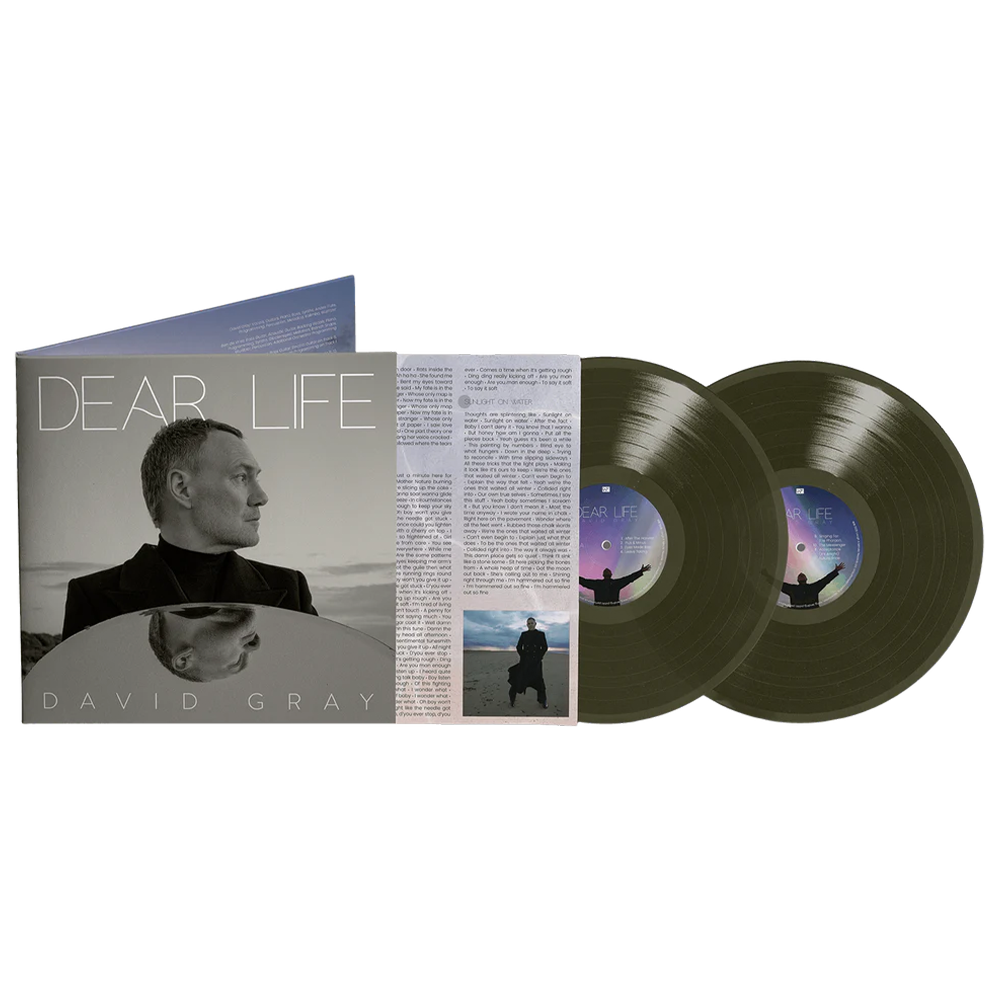Dear Life (Green 2lp Edition) (Vinyl)