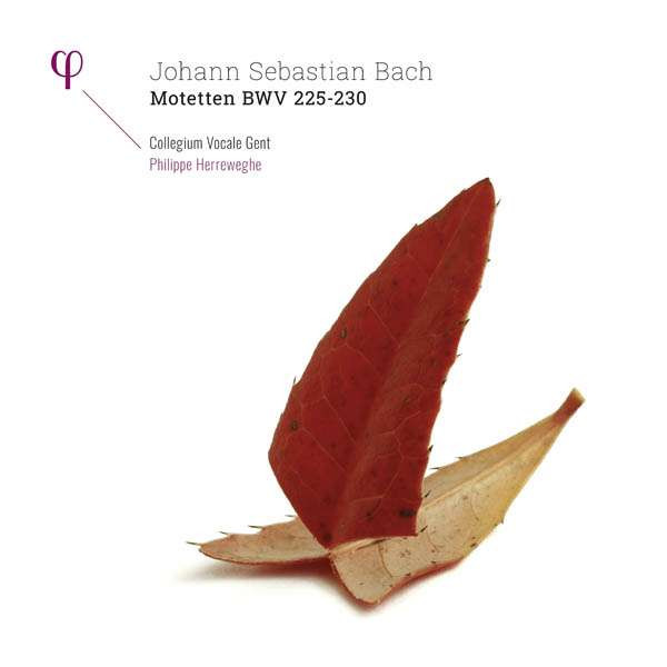 Motetten Bwv 225-230 - Collegium Vocale Gent Herreweghe