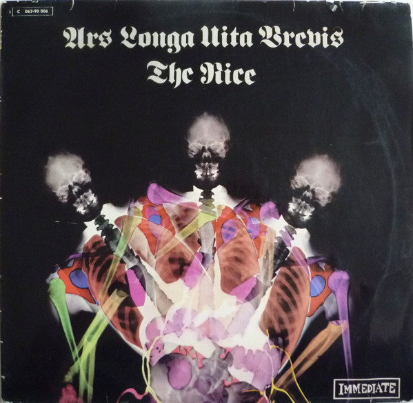 Nice: Ars Longa Vita Brevis Eu Real Groovy Nice: Ars Longa Vita Brevis Eu Real Groovy