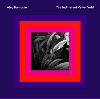 Indifferent Velvet Void  (Purple Edition) (Vinyl)