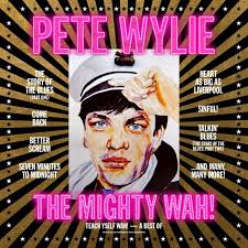 Teach Yself Wah - The Best Of Pete Wylie And The Mighty Wah (Vinyl)