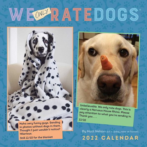 2022 We Only Rate Dogs Calendar Real Groovy