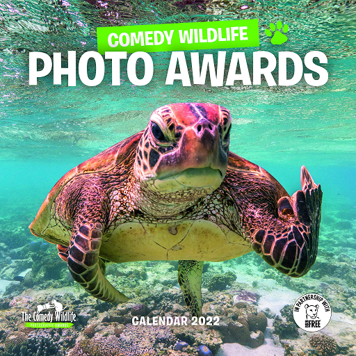 2022 Wildlife Comedy Photos Calendar