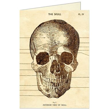 The Skull Greeting Card