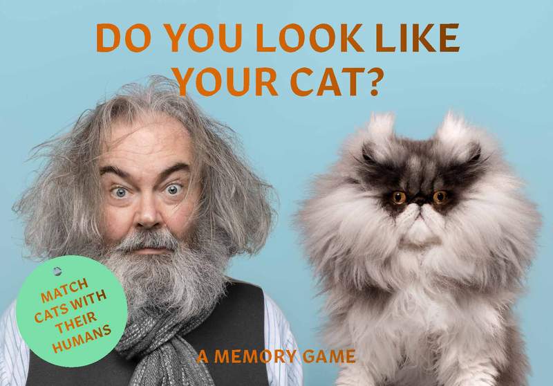 Do You Look Like Your Cat? Match Cats with Their Humans A Memory Game