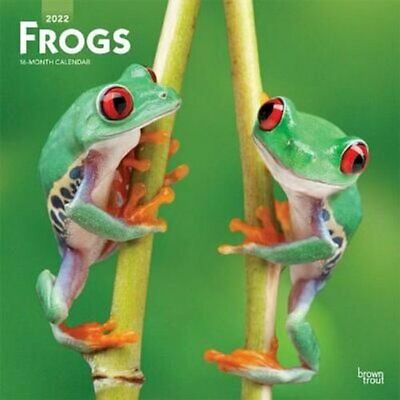 Frogs 2022 Square
