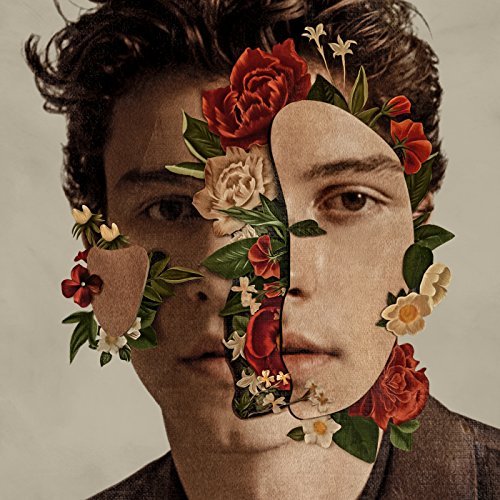 Pin by Moonlight on Shawn Mendes | Shawn mendes, Shawn, Mendes