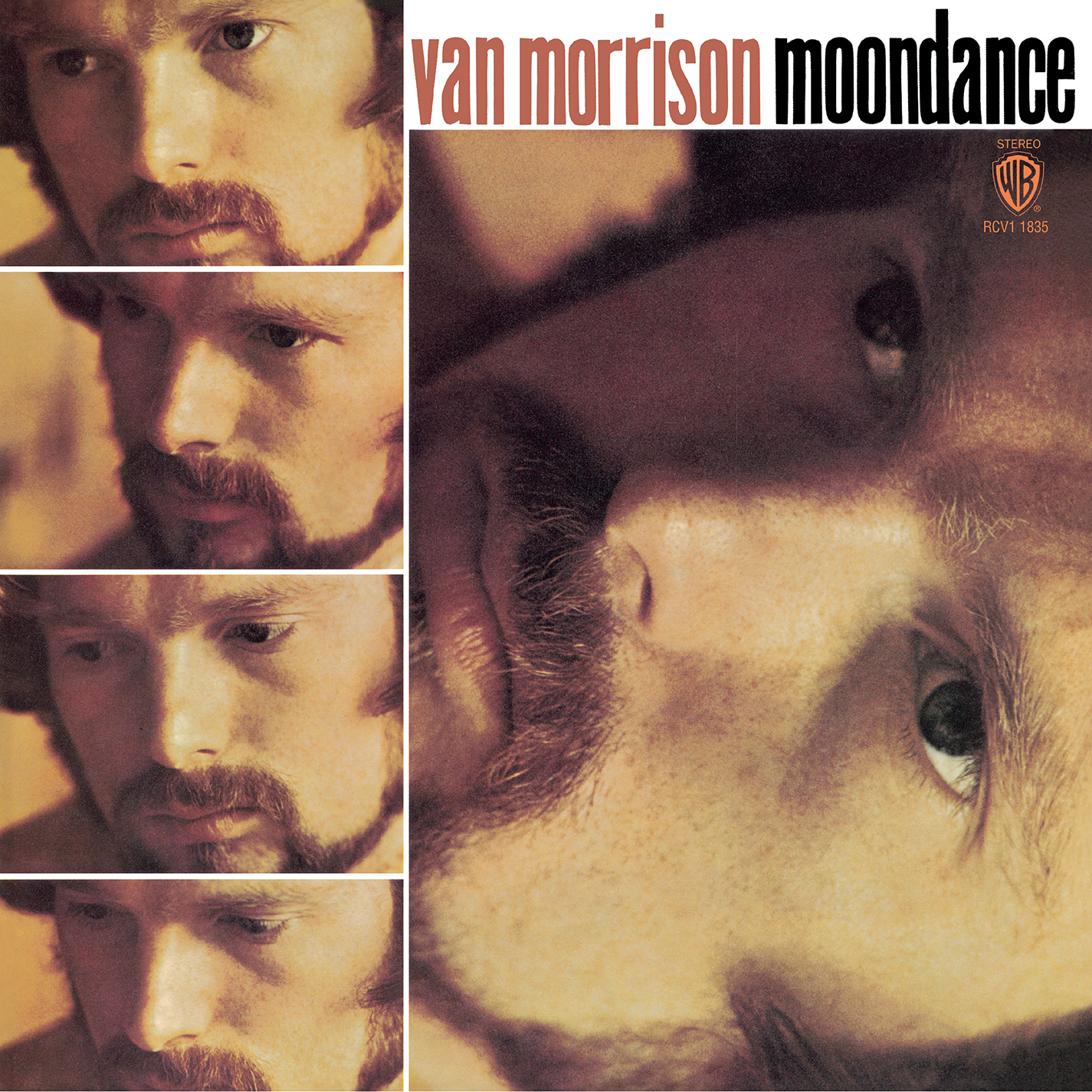 Moondance (orange Edition) (vinyl)