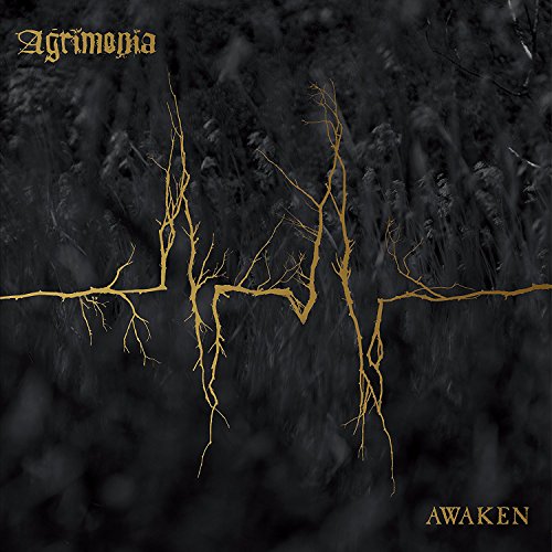 Awaken (Vinyl)